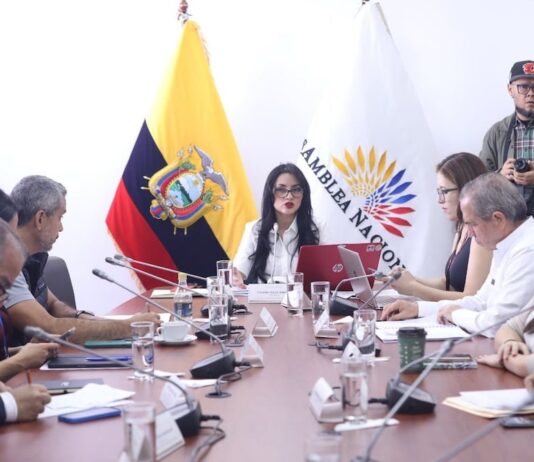 Comisión de niñez y adolescencia investiga muerte de bebé en Macas y la entrega de su cuerpo en una caja de cartón | Política | Noticias