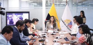 Comisión de Desarrollo Económico arranca tratamiento de dos proyectos urgentes sobre eficiencia en los GAD y el fortalecimiento a la minería y la energía desde el 3 de febrero | Política | Noticias