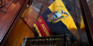 ¿Cuáles fueron las razones del constituyente para proteger a la Corte Constitucional de un juicio político?