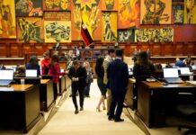 Condonación de tributos, disposiciones al IESS, reformas sobre concesiones mineras y más facultades a la UAFE, entre los principales puntos de la Ley de Transparencia Social | Política | Noticias