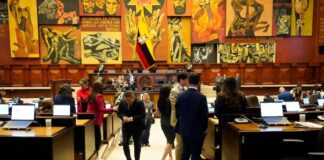 Condonación de tributos, disposiciones al IESS, reformas sobre concesiones mineras y más facultades a la UAFE, entre los principales puntos de la Ley de Transparencia Social | Política | Noticias