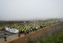 El debate nuclear tensa el equilibrio interno de Gobierno, aliados y oposición | Economía
