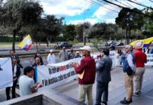 ‘Desconfianza’ en el Consejo de Participación Ciudadana motiva la renuncia de una candidata a ser vocal del Consejo de la Judicatura | Política | Noticias