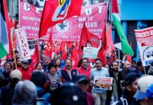 Presidentes de la UNE, FUT, FEUE y Fenocin alertan de una investigación de Fiscalía en su contra por su participación en el paro nacional | Política | Noticias