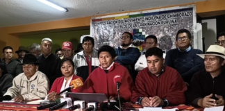 Movimiento indígena de Chimborazo anuncia movilizaciones progresivas en esta provincia por la eliminación del subsidio al diésel | Política | Noticias
