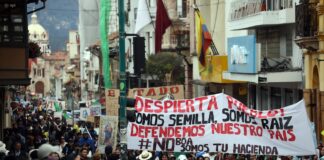 “El quinto río de Cuenca se desbordó”: Movilización en contra de la minería en Quimsacocha se vivió en la capital azuaya | Política | Noticias