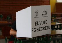 ‘Es hora de lanzar al tacho de basura la constitución correísta’: movimiento CREO respalda el Sí en referéndum y consulta popular de noviembre | Política | Noticias