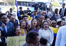 Campaña a favor y en contra del referéndum va sumando voces: trece agrupaciones políticas y sociales se registran en el Consejo Nacional Electoral | Política | Noticias