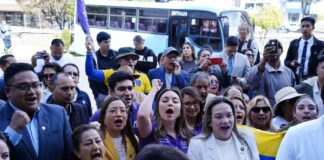 Campaña a favor y en contra del referéndum va sumando voces: trece agrupaciones políticas y sociales se registran en el Consejo Nacional Electoral | Política | Noticias