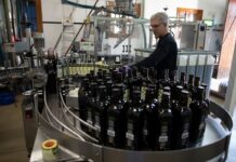 El aceite de oliva se encarece en origen y marca máximos anuales | Economía