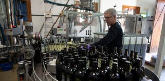 El aceite de oliva se encarece en origen y marca máximos anuales | Economía