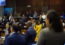 Así propone Daniel Noboa reducir el número de asambleístas con la pregunta corregida que envió a la Corte Constitucional | Política | Noticias