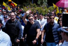 Revés de leyes de Daniel Noboa en la CC complica estrategia contra el crimen y optimización del Estado: ¿qué se quedó fuera?