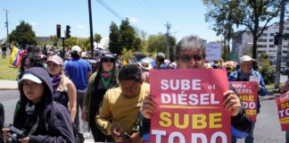 Organizaciones sociales y feministas marcharon en Quito en respaldo al paro nacional | Política | Noticias