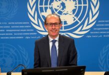 Relator de ONU presenta observaciones a Ley de Inteligencia de Daniel Noboa | Política | Noticias