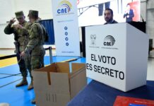 CNE califica a 13 organizaciones para la campaña del referéndum de 2025 | Política | Noticias