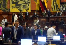 Asambleístas alistan debate sobre posibles cambios a la Constitución con una nueva Constituyente | Política | Noticias