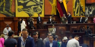 Asambleístas alistan debate sobre posibles cambios a la Constitución con una nueva Constituyente | Política | Noticias