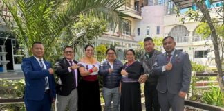 Pachakutik expulsa a seis asambleístas por alinearse y votar con el Gobierno | Política | Noticias