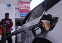 Reducción del consumo de diésel evidencia uso indebido del subsidio, dice vocera Carolina Jaramillo | Política | Noticias