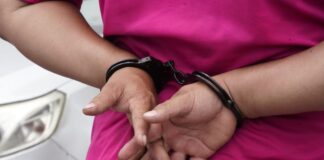 Conozca la pregunta y el anexo que Daniel Noboa propone para juzgar extorsión, robo y receptación con procedimientos especiales y expeditos | Política | Noticias