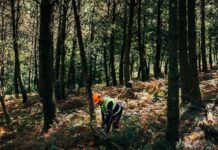 Cómo cuidar el bosque y crear riqueza al mismo tiempo | Negocios