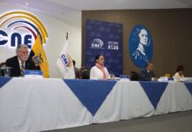 Diana Atamaint convoca al CNE para este sábado, 20 de septiembre, para conocer la propuesta de Noboa de ir a una asamblea constituyente | Política | Noticias