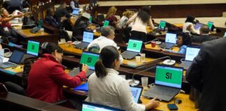 Asamblea Nacional analiza requisitos de proyecto de iniciativa popular sobre el uso del cannabis en Ecuador | Política | Noticias