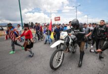 Guardia indígena ya se visualiza en las protestas de la Conaie en Ecuador | Política | Noticias