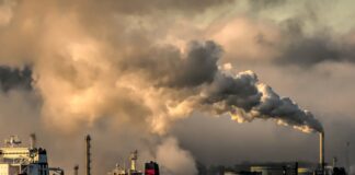 La ong Finance Watch alerta de que los bancos aún financian con 1,4 billones los combustibles fósiles | Empresas