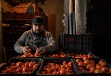 ¡Cuate, aquí hay tomate! Los malabares de México para salvar las ventas de su huerta | Carta del corresponsal