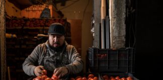 ¡Cuate, aquí hay tomate! Los malabares de México para salvar las ventas de su huerta | Carta del corresponsal