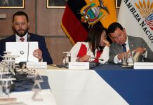 Comisión de Fiscalización pide cinco días más de plazo para informe sobre juicio a Gonzalo Albán, consejero del CPCCS | Política | Noticias