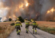 España redujo la plantilla de bomberos en 2024 a pesar del alto riesgo de incendios | Economía