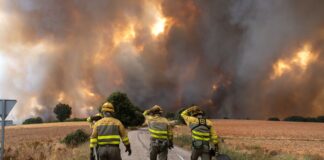 España redujo la plantilla de bomberos en 2024 a pesar del alto riesgo de incendios | Economía
