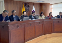 Corte Constitucional dice que la propuesta de Daniel Noboa de una asamblea constituyente es viable, pero aún no califica contenido de considerandos, pregunta y estatuto | Política | Noticias