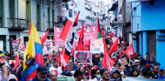 Aunque no conocen todas las preguntas, asistentes a marcha de sindicalistas en Quito rechazaron consulta popular de Daniel Noboa | Política | Noticias