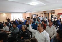 En Pichincha, la Federación de Transporte Terrestre decide suspender el servicio ante la eliminación del subsidio al diésel | Política | Noticias