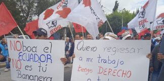 Despidos hechos bajo la Ley de Integridad Pública se mantienen pese a fallo de la Corte Constitucional | Política | Noticias