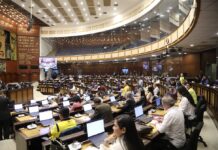 La Revolución Ciudadana pide que el pleno de la Asamblea trate una resolución para rechazar la eliminación del subsidio al diésel | Política | Noticias