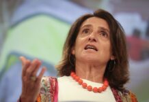 Bruselas frena una multa a Google por prácticas monopolísticas | Economía