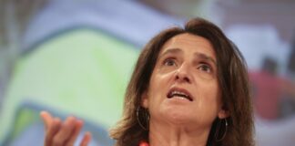 Bruselas frena una multa a Google por prácticas monopolísticas | Economía