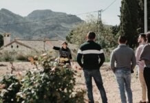 Descubre la XIV edición de Vendimia Abierta en Bodegas Luzón