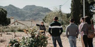 Descubre la XIV edición de Vendimia Abierta en Bodegas Luzón