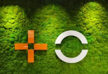 MasOrange traspasa a Endesa su negocio energético por 90 millones y ambas comercializarán juntas luz, gas y telecos | Empresas