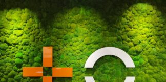 MasOrange traspasa a Endesa su negocio energético por 90 millones y ambas comercializarán juntas luz, gas y telecos | Empresas