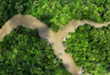 Cambiar el cambio climático | Negocios