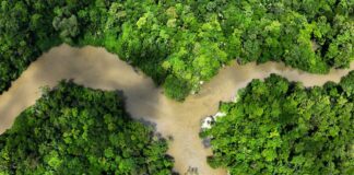 Cambiar el cambio climático | Negocios