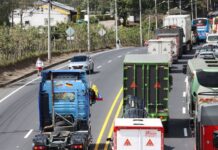 Gobierno de Daniel Noboa ha destinado $ 10,5 millones en incentivos para transportistas | Política | Noticias