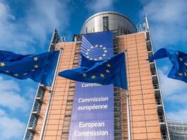Eurobonos rentables, prácticos, a ras de suelo | Economía